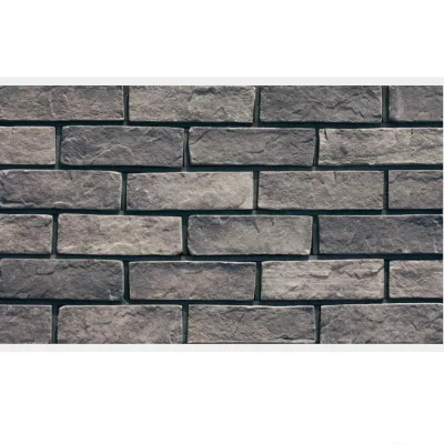 Foshan Guangzhou Shenzhen Outdoor Clay Brick for Wall Surface Building