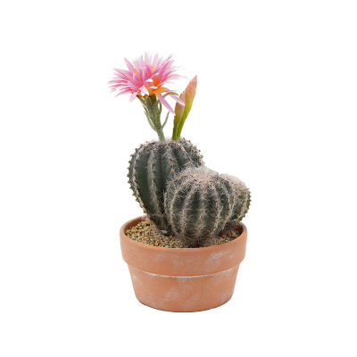 Wholesale Cactus Artificial Plants Succulent Artificial Cactus Flower Ball
