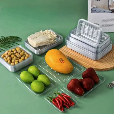 Custom Disposable PP PET Plastic Vegetable Tray Packaging Plastic Food Fruit Trays for Supermarket