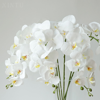Artificial Flower Butterfly Orchid for Orchid Decorative Flowers