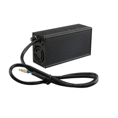 DL400 12V 20A Lead Acid LiFePO4 Lithium Ion CNC Battery Charger for AGV RGV Club Car