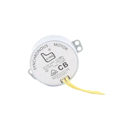 2025 Snake Year New Design Synchronous Motor 49TYJ for Cooling Fan