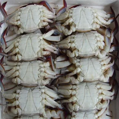 Frozen IQF&BQF Blue Swimming Crabs with Large Sizes