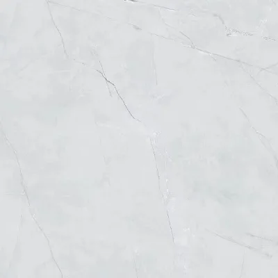 400*800 Glazed Wall and Floor Tiles Glossy Stain-resistant Non-slip Thermal Insulation Tiles