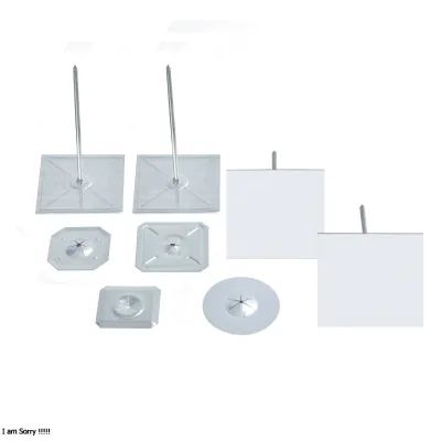 Professional Stainless Steel Insulation Fixing Pins