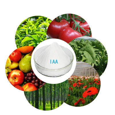 Indole-3-acetic Acid IAA 98% Powder Auxin Cytokinin Cas 87-51-4 Plant Growth Regulator Best Price Indole Acetic Acid IAA
