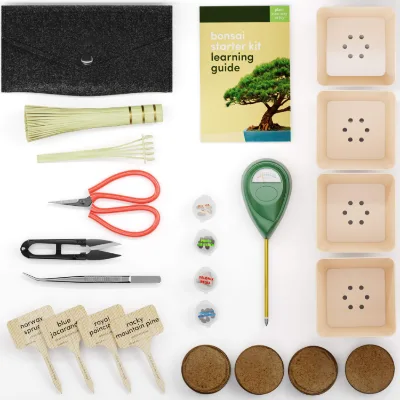 Bonsai Tree Starter Kit Plant Growing Tools Grow Flowers Pot Gardening Gift DIY High Quality Carbon Steel OEM Custom Logo