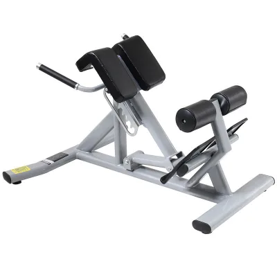 Adjustable Indoor Multifunctional Fitness Equipment Folding Roman Chair Bench for Waist Exercise