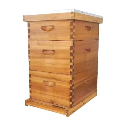 Spacious MultiBox Langstroth Beehive for Colony Expansion