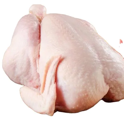 Frozen Chicken - Slaughtered Various Flavors Frozen Chicken