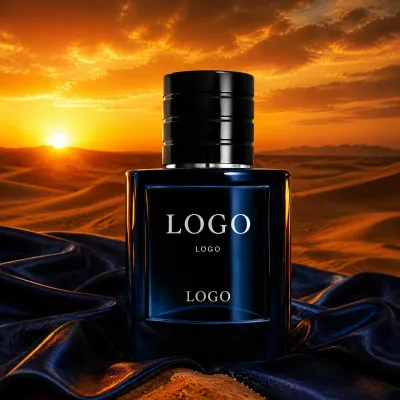 100ml Men's Woody Light Eau De Perfume Toilette Premium Arabic Oud Perfume Oil Spray Long-Lasting Alcohol-Free Bulk Wholesale