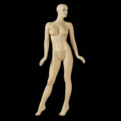 Mannequin Skin Color Display Model Display Model