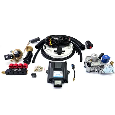 Cng  lpg Conversion Kit De Gnv  EFI 4 Cilindro Fuel Tech Computer Kit Aeb 5ta Generacin Converter Kit Gas