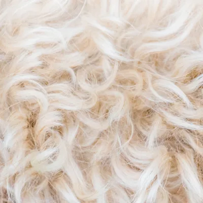 Hot Products 2023 Wholesale Laundry Products Organic New Zealand Wool Dryer Balls