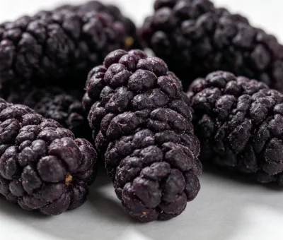 No Added Sugar Freeze Dried Mulberries Rich Natural Anthocyanin Crispy Whole Berries for Cereal Yogurt Baking Topping