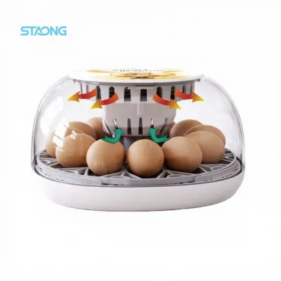 Bird Chick Incubator 12-Egg Capacity 98% Hatching Rate Automatic Egg Turning Educational Toy for Kids Small-Sized Family Science