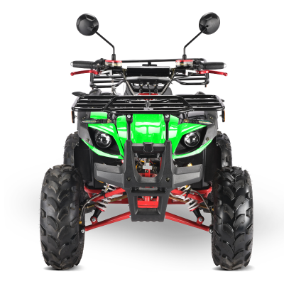 New Arrival Disc Brake Front Rear Suspession off Road Quad Atv Vehicles