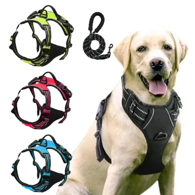 Wholesale Quality Pet Harness Different Colors Pet Harness and Leash Custom OEM LOGO Luxury Pet Dog Accessories Products