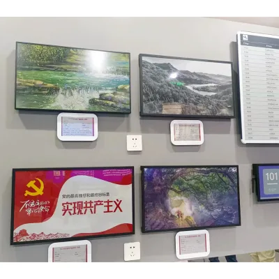 e ink handyhulle touch screen E-ink Display E-paper EPD for Android Tablet Computer Screen 25.3 inch e ink clock display panel
