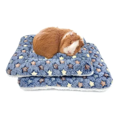 Warm Soft Coral Fleece Guinea Pig Bed Mat Cartoon Winter Washable Pads Breathable Super Absorbent Cotton Fill Print Pattern Cage