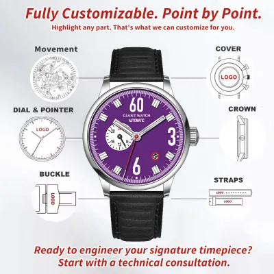 OEM Custom Men's Automatic Mechanical Diver Watch 40mm Stainless Steel Sapphire Glass Analog Dial 5ATM Water-Resistant Leather
