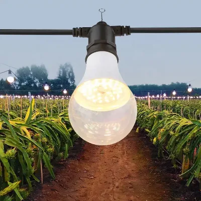 Factory A80 Full Spectrum Led Grow Lights 15W/12W E26/E27 Lampholder IP65 Waterproof High Brightness Bloom Copper Dragon Fruit