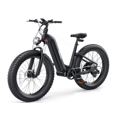 Hot Seller 2024 Electric Bike 50 Km Bike Fat Tire Electric Bike Electric Bike Adult 20inch Electric Bicycle