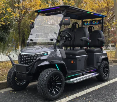 Off-Road Electric Golf Cart 5kw Motor Curtis Controller CE Certified Energy-Saving Eco-Friendly Electric Patrol Vehicle