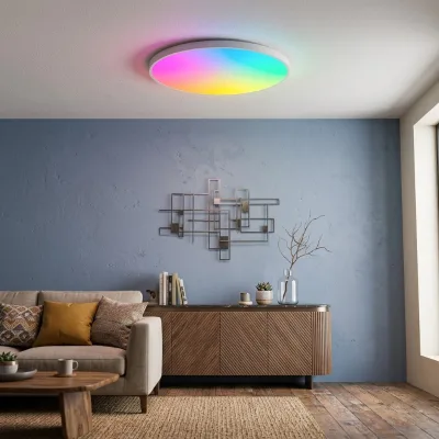 Modern WiFi Smart RGB LED Ceiling Light App Control Dimmable Flush Mount for Living Room Bedroom Home