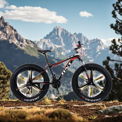 All Terrain Wholesale 26x4.0 Inch Fat Tire Mountain Bike with Shock Absorption for Beach Snow and Sand Riding Fast Dispatch