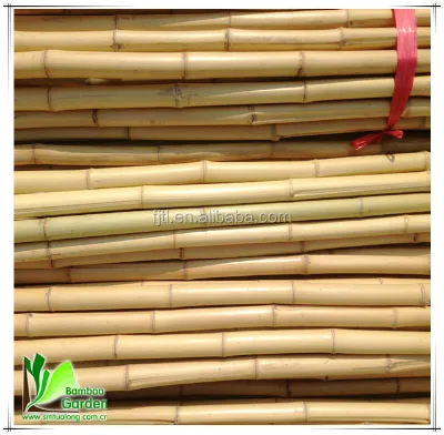 Garden Natural Bambus Canes for Plant Support