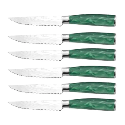 Hip-home Resin Handle Stainless Steelkitchen Knife Set 6pcs Table Steak Knives Set with Wooden Storage Case