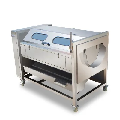 Fruit and Vegetable Processing Equipment Popular Machine for the Dates Cleaning Washing