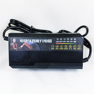 Chargers Batteries 60 Volt Battery Charger Universal Multi Rechargeable Battery Charger