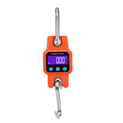 Portable 300kg Digital Hanging Scale for Industrial Hook LCD Display ABS Plastic Stainless Steel 1 Year Warranty OEM