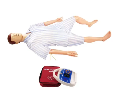 Multifunctional Emergency Nursing Training Simulator Manikin (PVC) AED Tracheal Intubation Function Vivid Design School Teaching