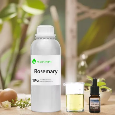 Wholesale 100% Pure Natural Organic Essential Oil Therapeutic Grade Rosemary Flower Fresh Odor OEM Available 10ml 30ml 200ml COA