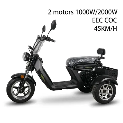 OEM ODM Three Wheels Scooter 1500W 2000W Motorcyces Rear Box 45km/h High Quality EEC COC Lithium Battery 2 Motors