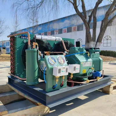 Piston Semi Hermetic Air Cooling Condensing Unit 380V 50Hz / 440V 60Hz