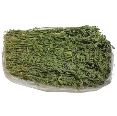 1kg Premium Quality Green hay Animal Feeding Stuff New Dried Alfafa