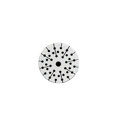 Alumina ceramic disc