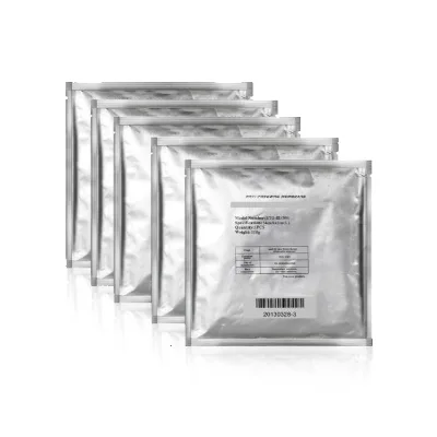 Wholesale Hongde ETG-III CE Certified Hand Held Antifreeze Membrane Cryo Machine Membranes 60g 70g 110g Weight Loss US IT.za