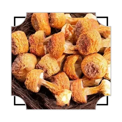 Best Price Chinese Agaricus Blazei Dried Whole Truffle Mushrooms Wild and Cultivated Source Raw Powdered Ingredients