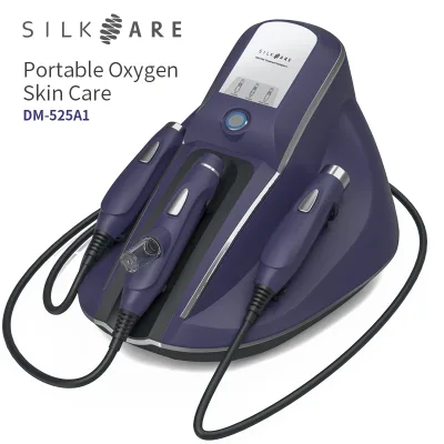 Hot Selling Beauty Equipment Portable Face Lifting 2 Handles Microneedling Rf Eye Anti-wrinkle Machine