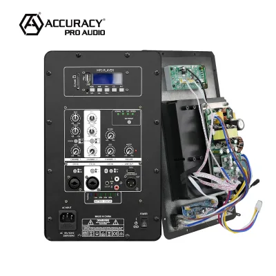 Accuracy Pro Audio D5-0.8K 100W Bluetooth Amplifier Circuit Board Active Amplifier Module for Active Subwoofer