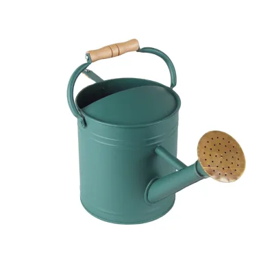 1 Gallon Watering Can Metal Watering Can With Wooden Handle Mini Watering Can