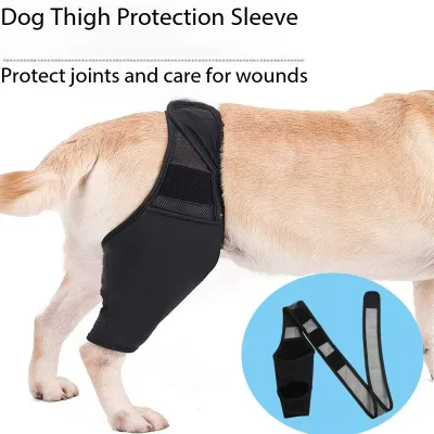 Pet Dog Knee Brace Leg Support Joint Wrap Protector Adjustable Recovery Sleeve Dog Postoperative Rehabilitation Auxiliary Belt