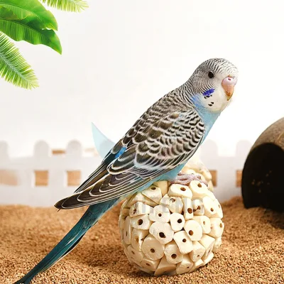 Parrot Grass Ball Chewing and Decompression Toys Chewing and Relieving Boredom Fun Educational Natural Healthy Bird Toys