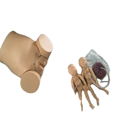 Medical Science Teaching Tool Normal Delivery Models for Practicing Disease Demonstration and Teaching