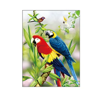Factory price 3D lenticular birds poster for office wall decoration